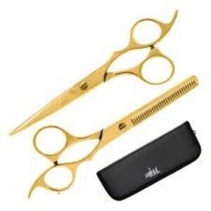 Aashta 6" Professional Cutting Scissor & Thinning Shears Set with case - Gold